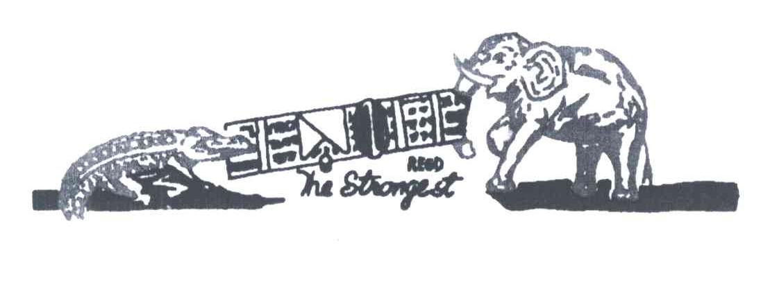 THE STRONGEST;REGD