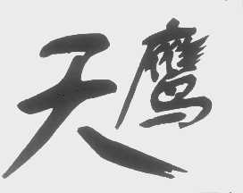 天鹰