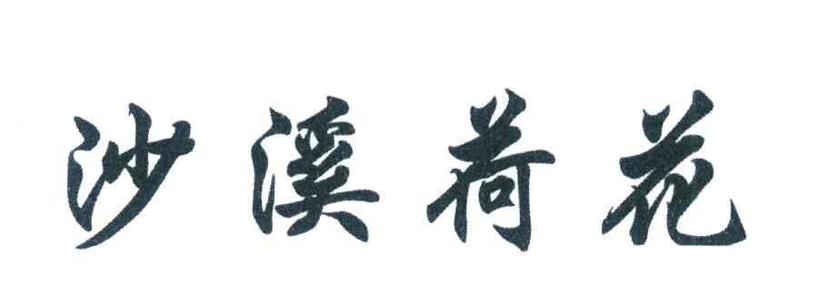 沙溪荷花