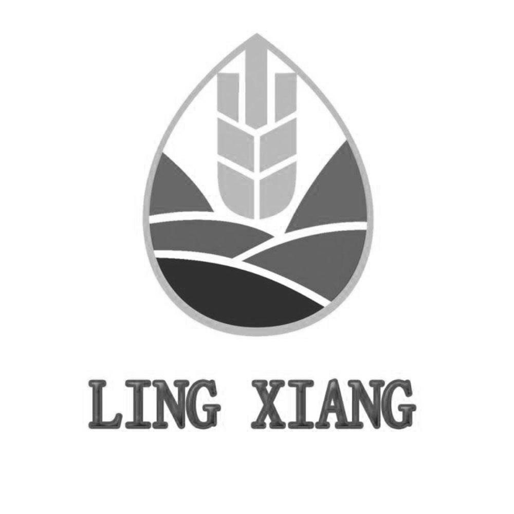 LING XIANG