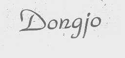 DONGIO