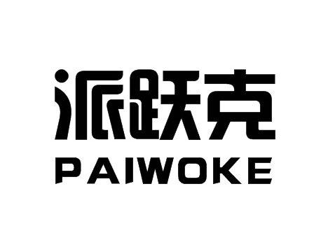 派跃克 PAIWORK