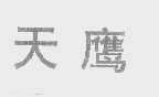 天鹰