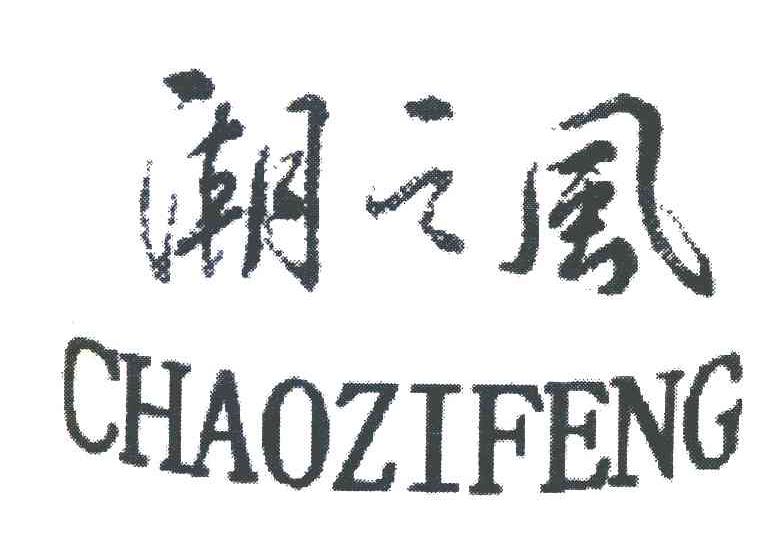 潮之风 CHAOZIFENG