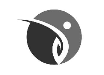 图形