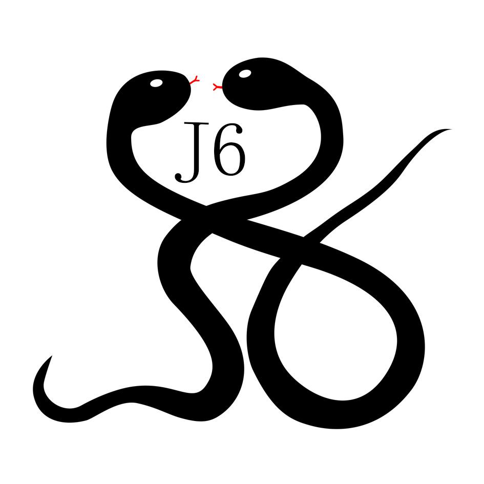 J 6