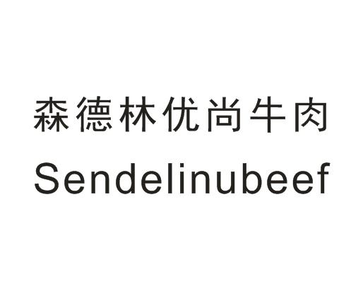 森德林优尚牛肉 SENDELINUBEEF