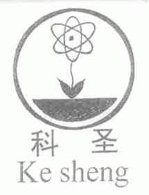 科圣