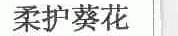 柔护葵花