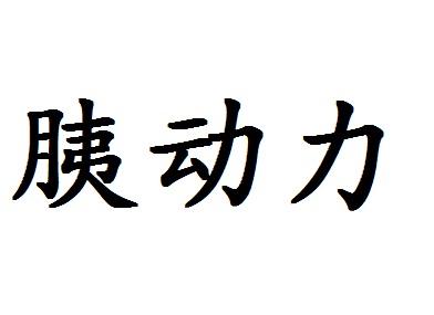 胰动力