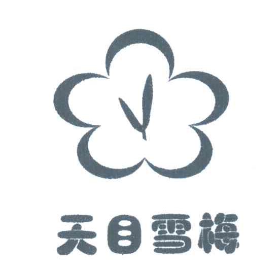 天目雪梅