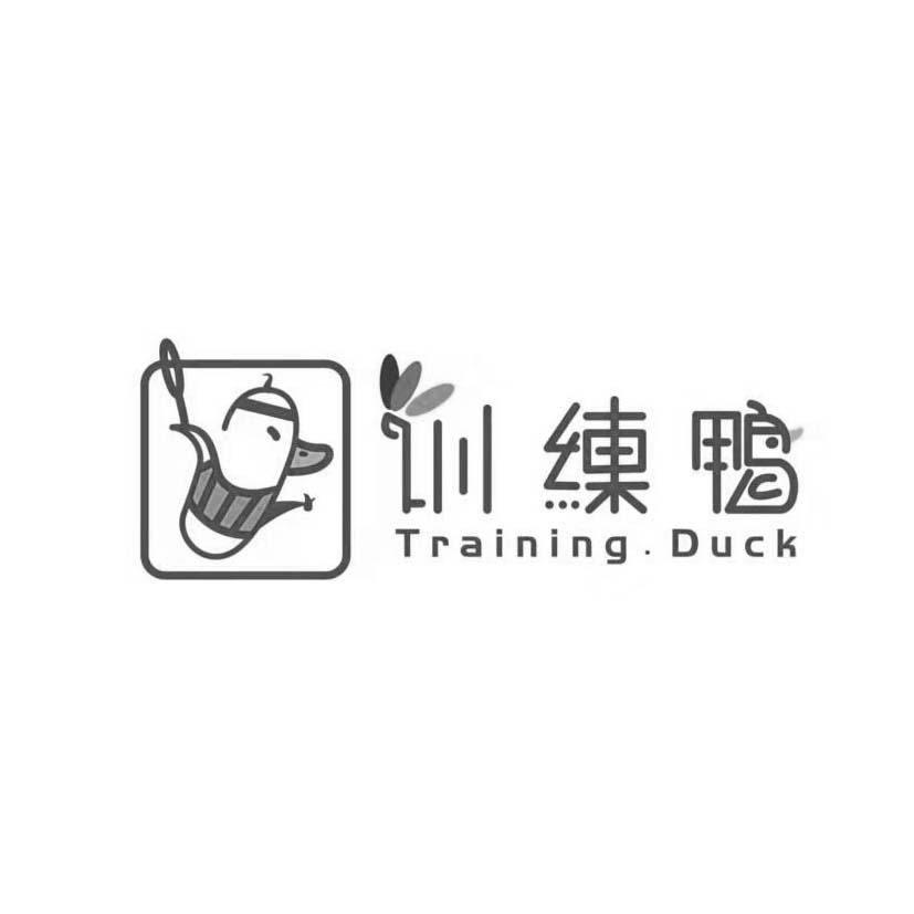 训练鸭 TRAINING DUCK