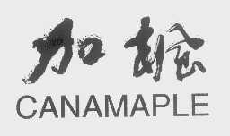 加枫   CANAMAPLE