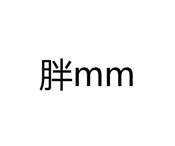 胖 MM