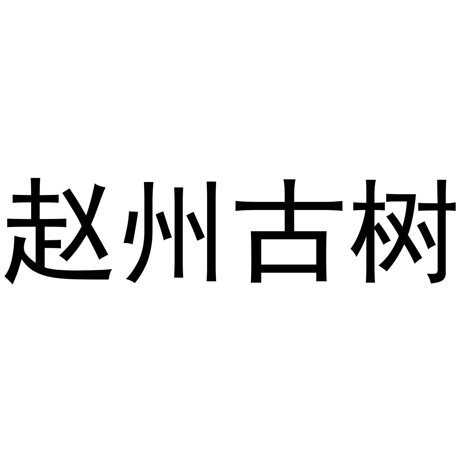 赵州古树