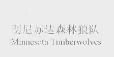 明尼苏达森林狼队   MINNESOTA TIMBERWOLVES