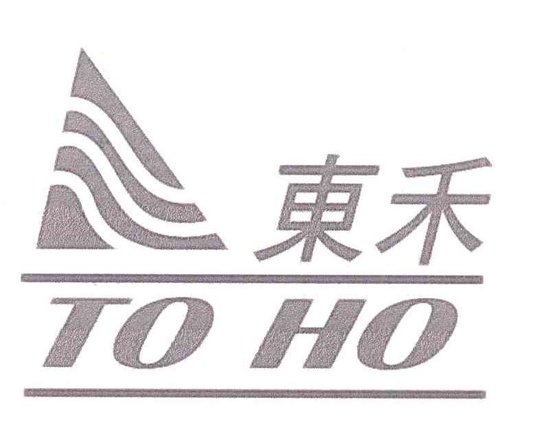 东禾 TOHO