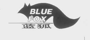 蓝狐   BLUE FOX