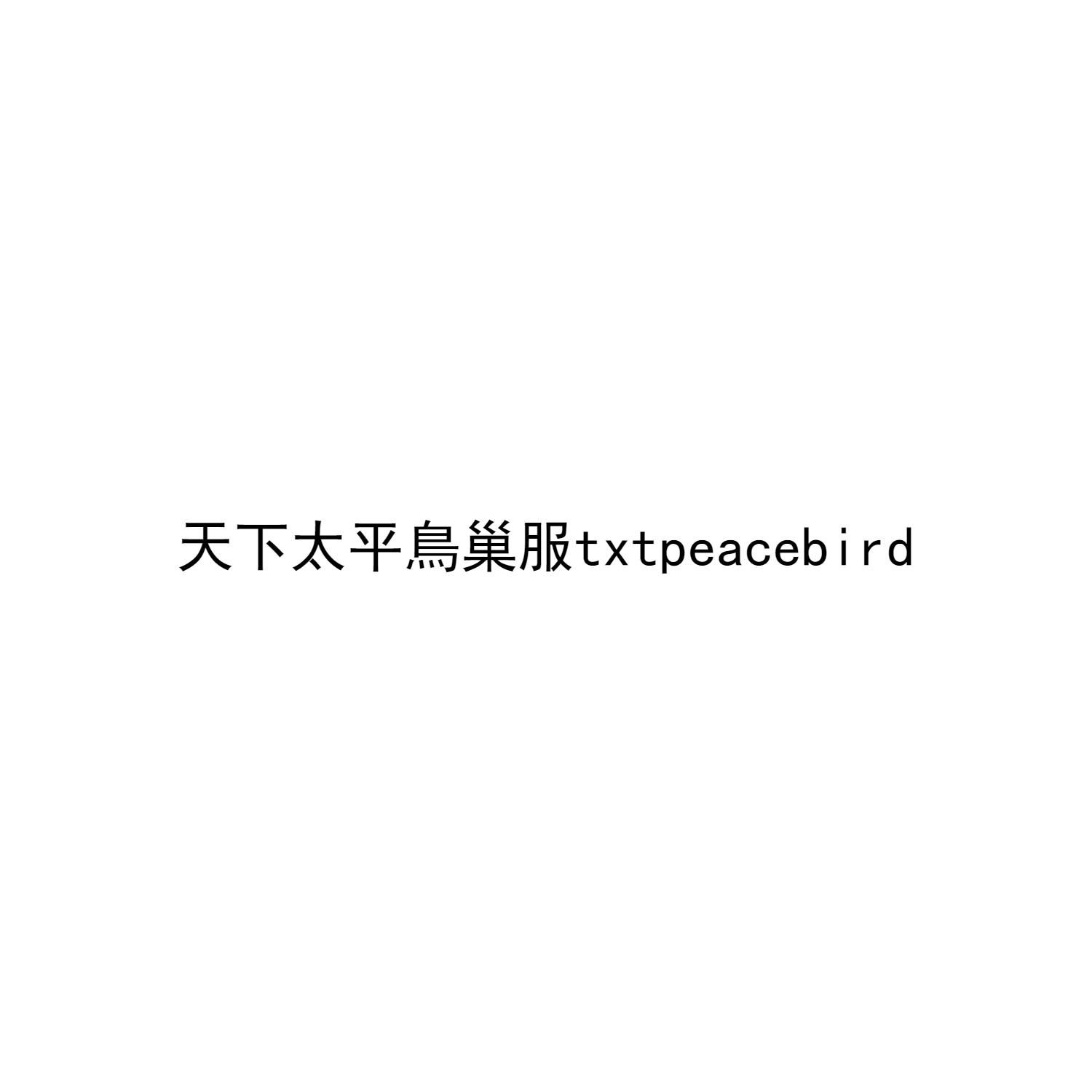 天下太平鸟巢服 TXTPEACEBIRD