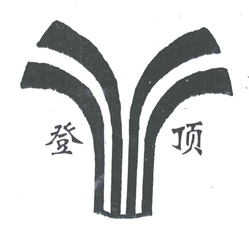 登顶