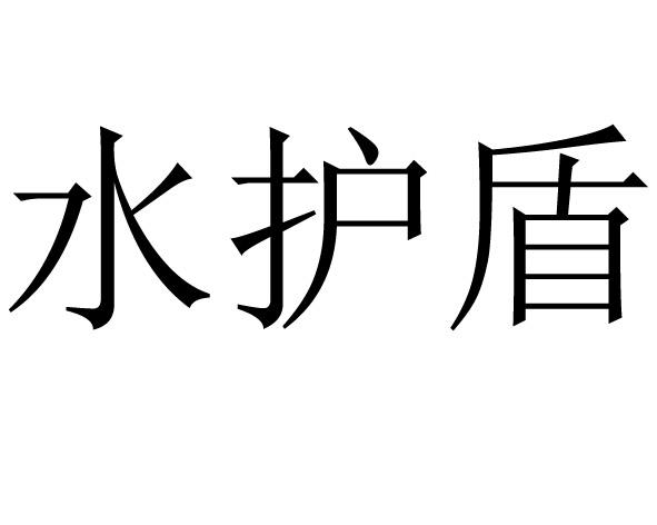 水护盾