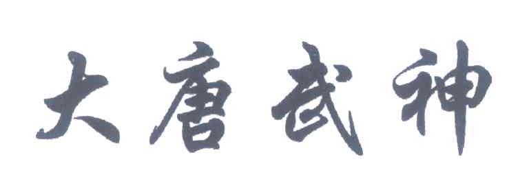 大唐武神