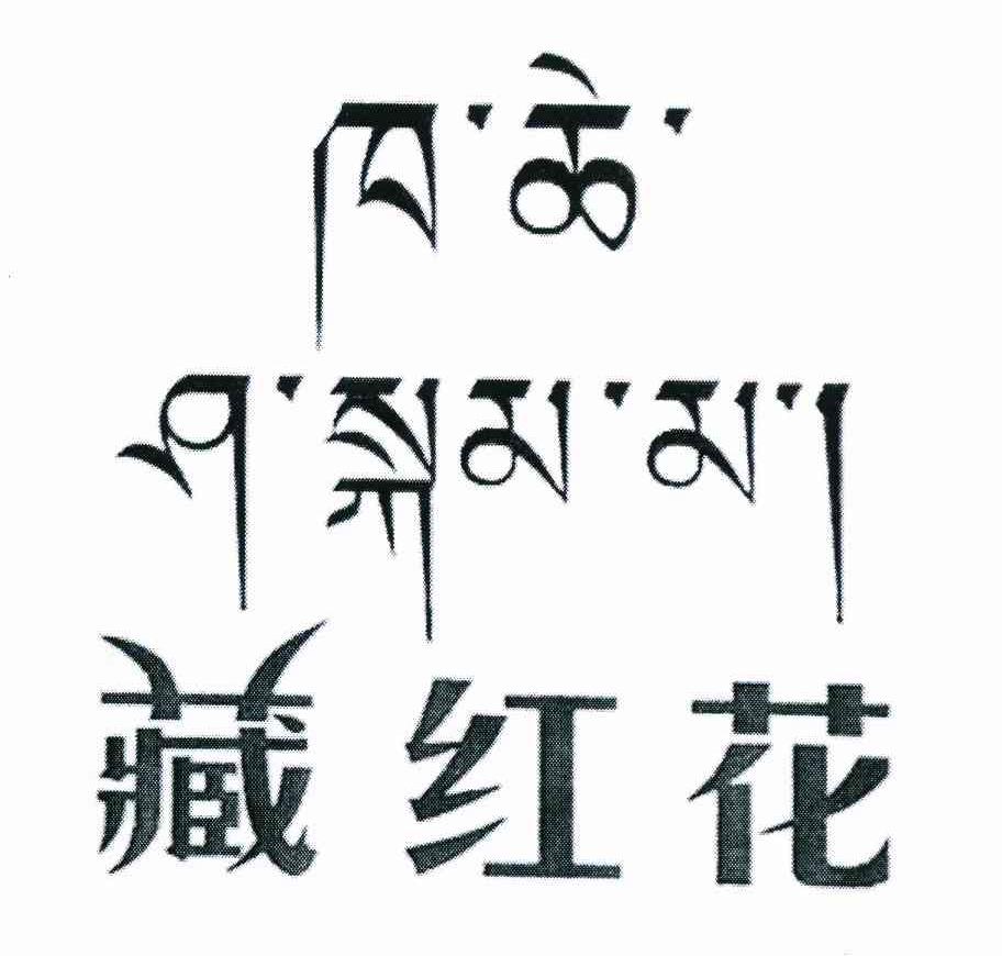 藏红花