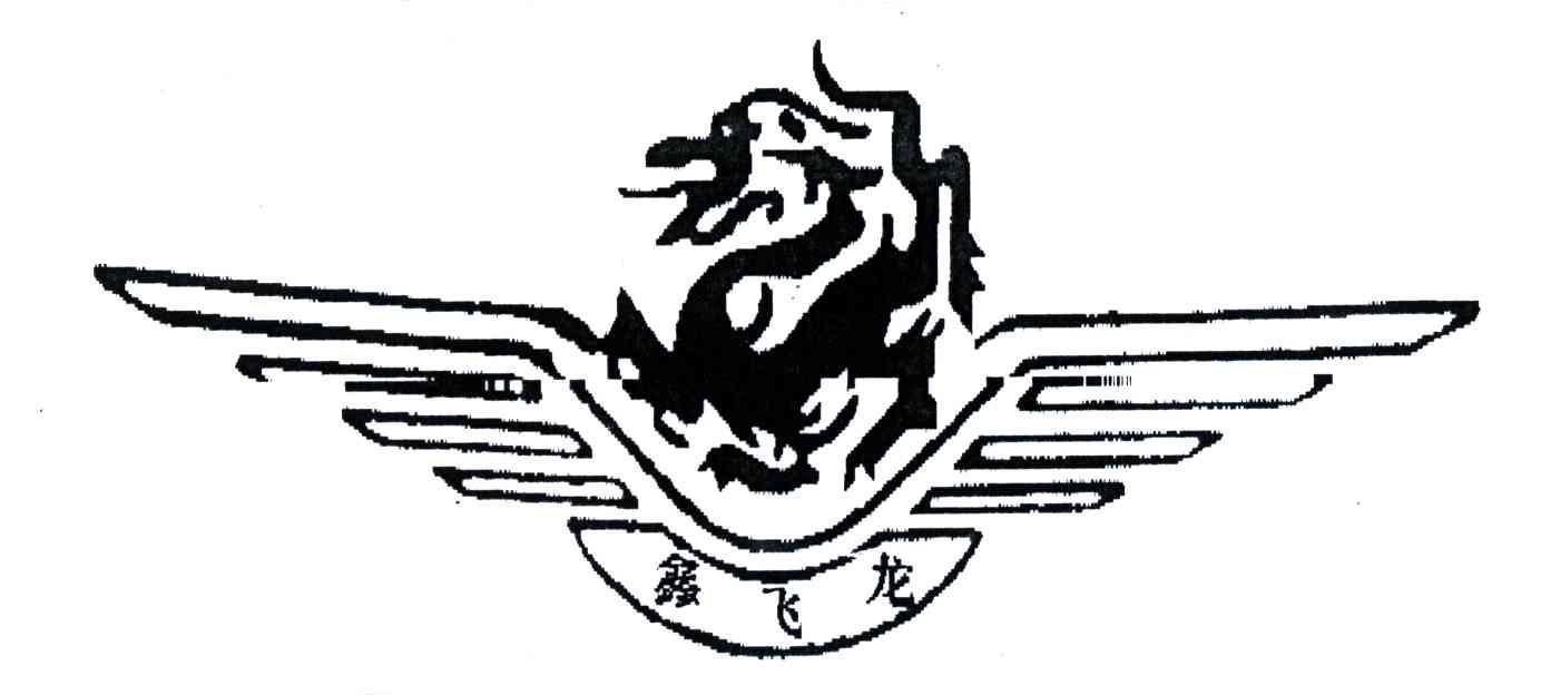鑫飞龙