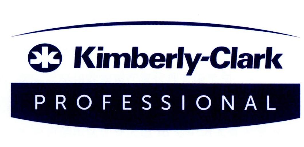 KIMBERLY-CLARK PROFESSIONAL