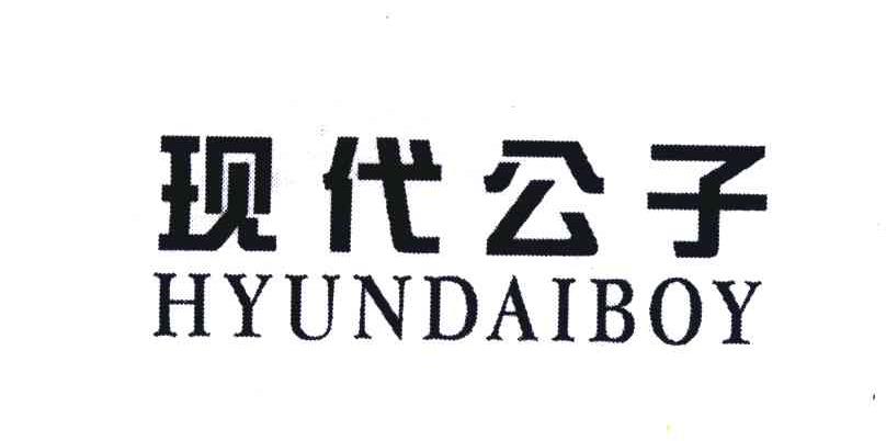 现代公子;HYUNDAIBOY