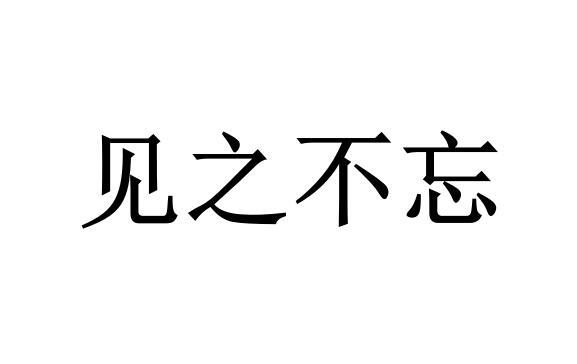 见之不忘