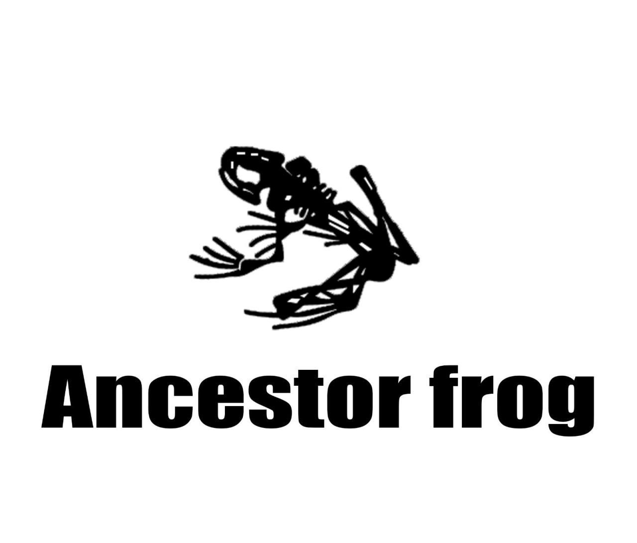 ANCESTOR FROG