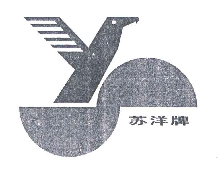 苏洋;SY