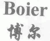 博尔;BOIER