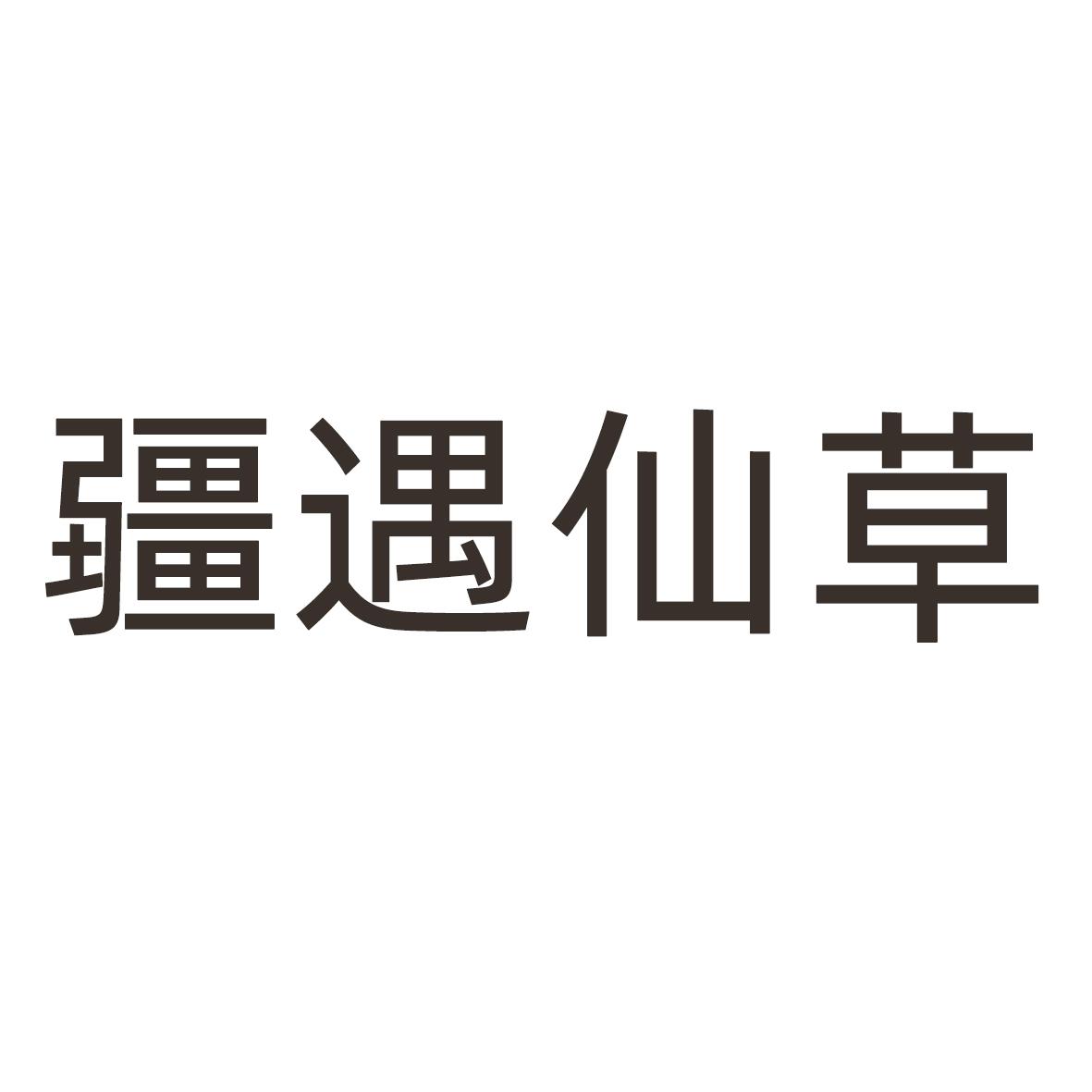 疆遇仙草
