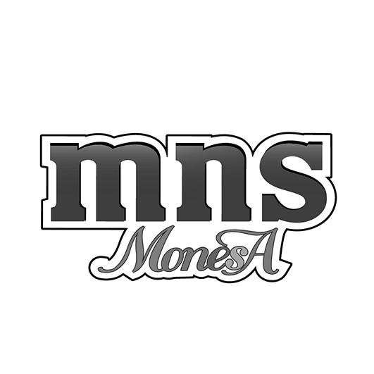MNS MONESA