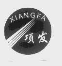 项发