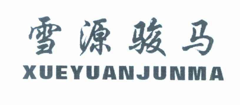 雪源骏马