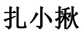 扎小揪