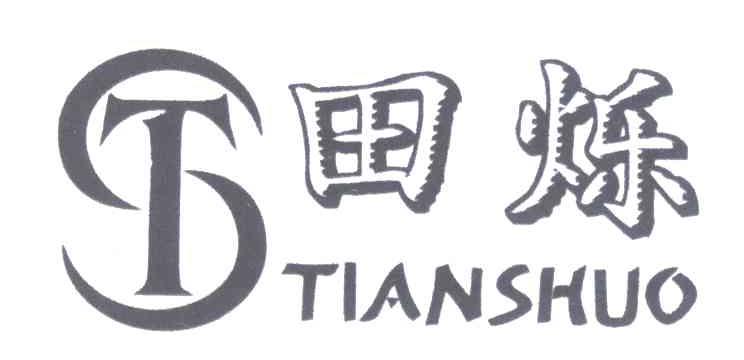 田烁 TS
