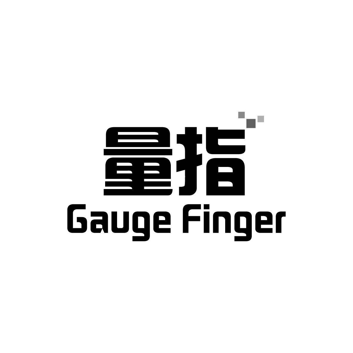 量指 GAUGE FINGER