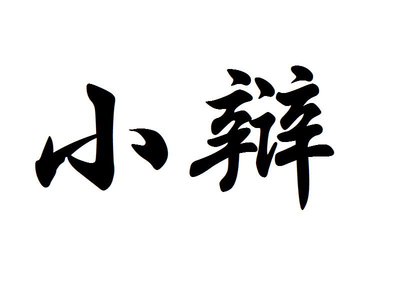 小辩