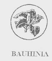 BAUHINIA