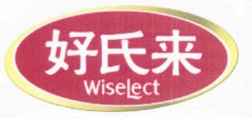 好氏来 WISELECT