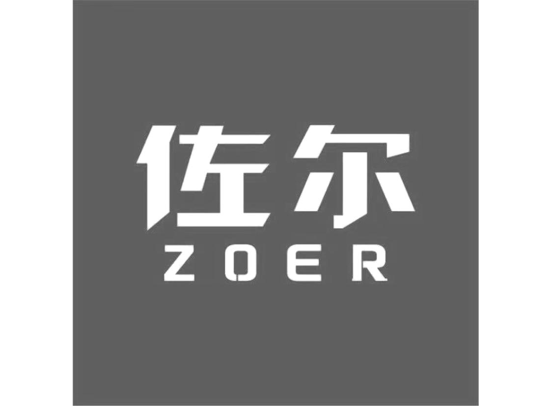 佐尔 ZOER