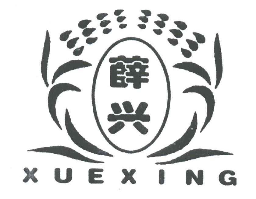 薛兴