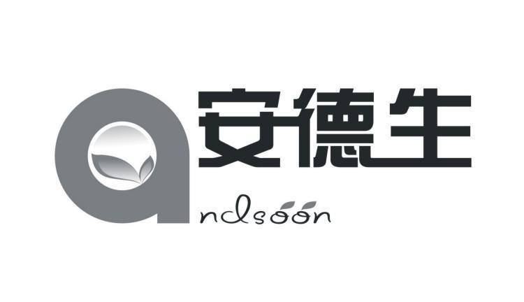 安德生 ANDSOON