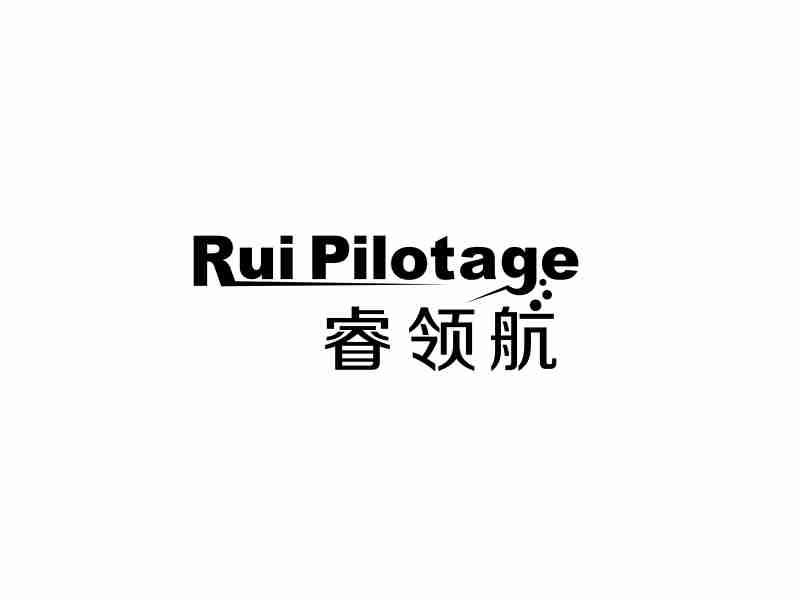 睿领航 RUI PILOTAGE