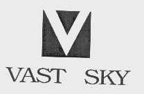 VAST SKY