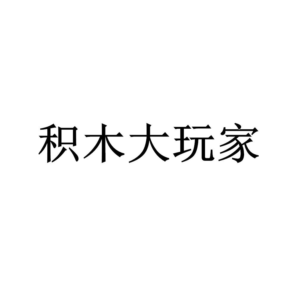 积木大玩家